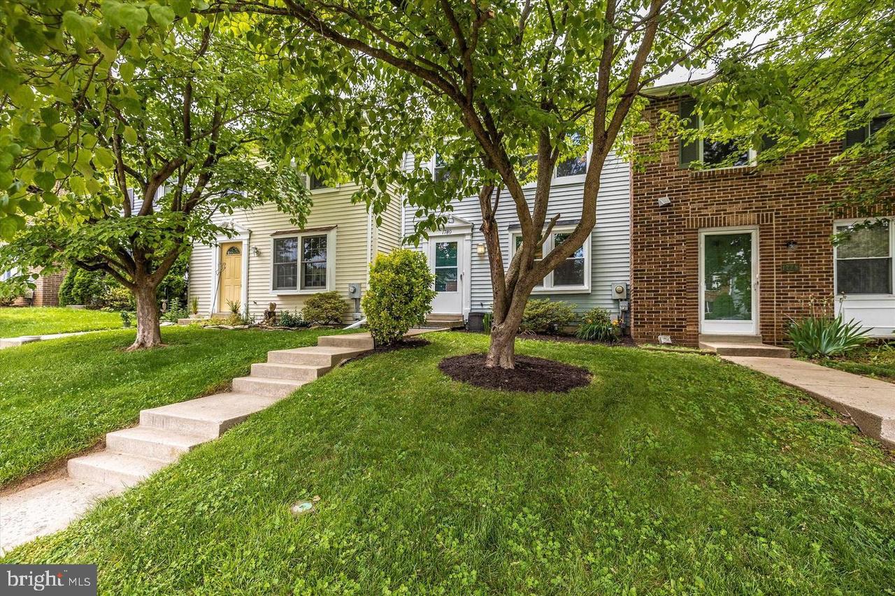 AMBER MEADOWS - Residential Lease