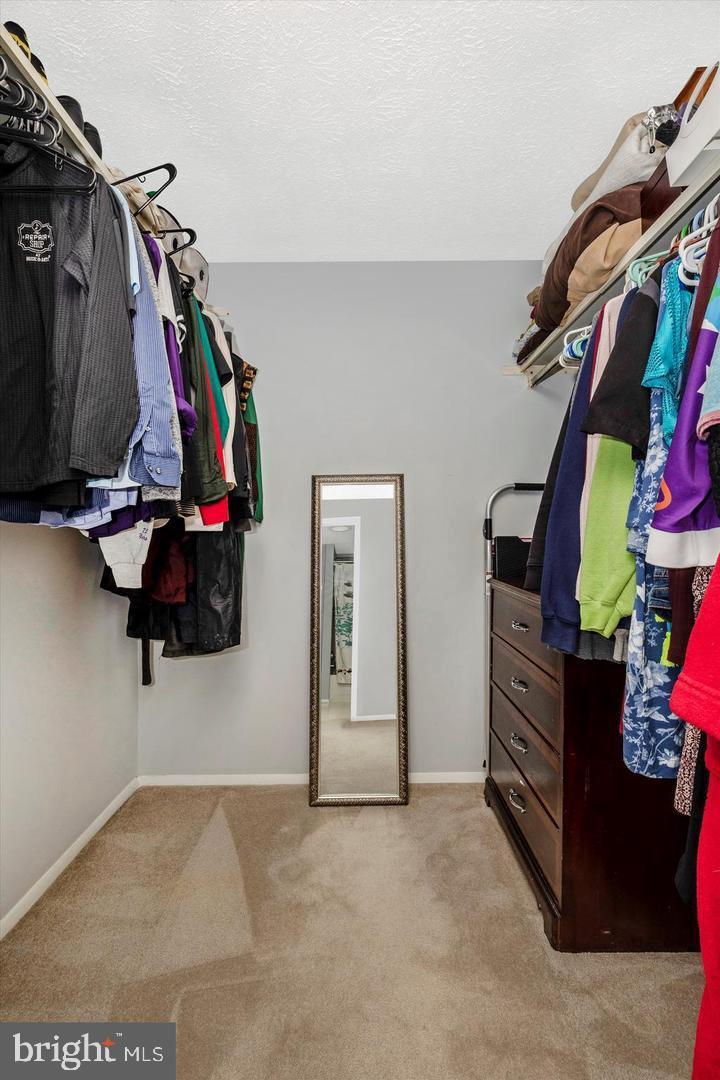 AMBER MEADOWS - Residential Lease