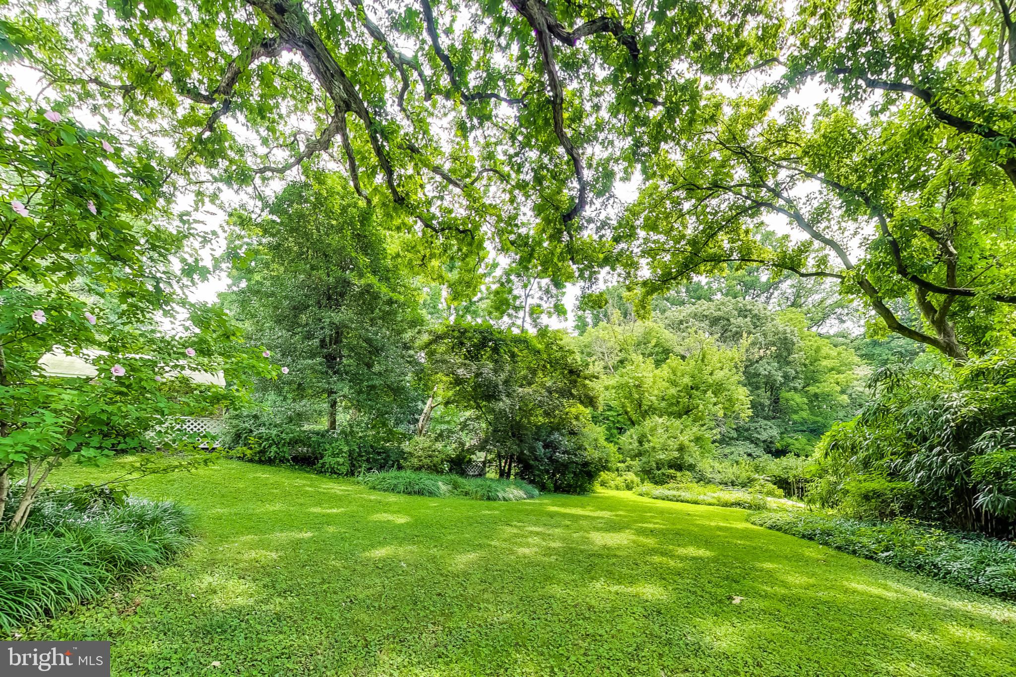 TAKOMA PARK - Residential