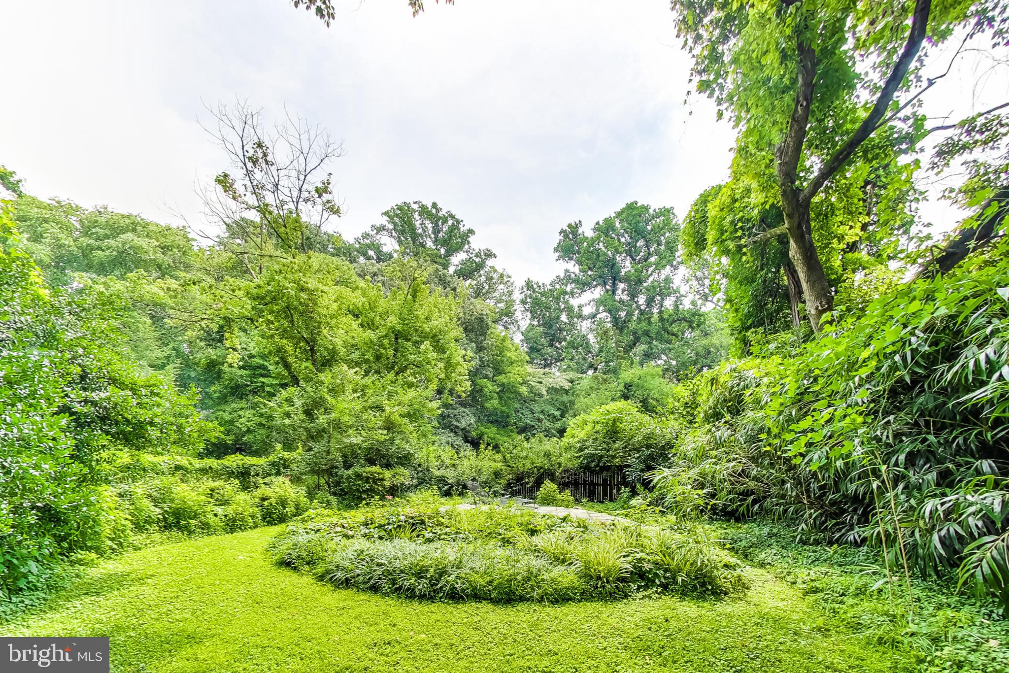 TAKOMA PARK - Residential