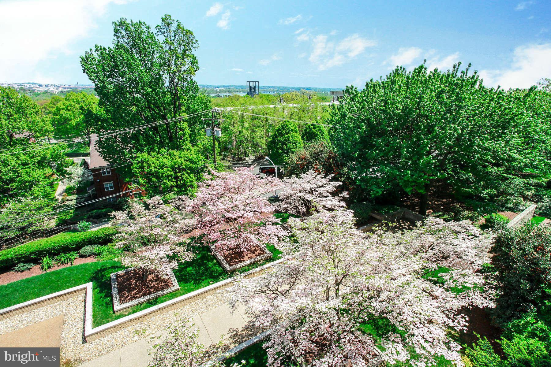 PROSPECT HOUSE - Residential