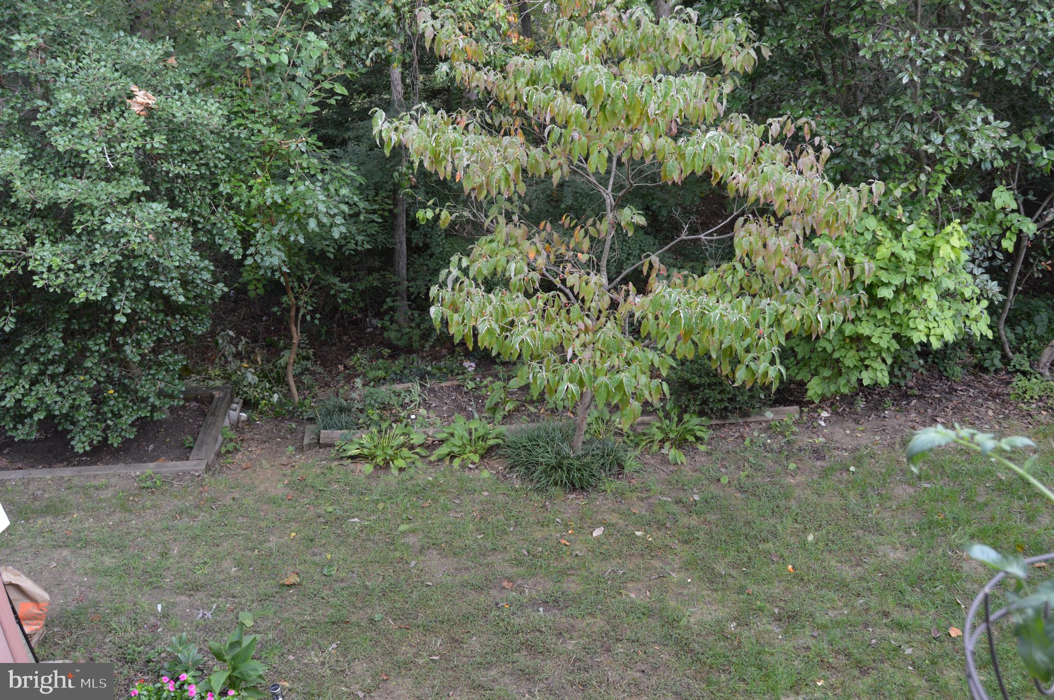 BLUFFS AT DEEP CREEK - Residential