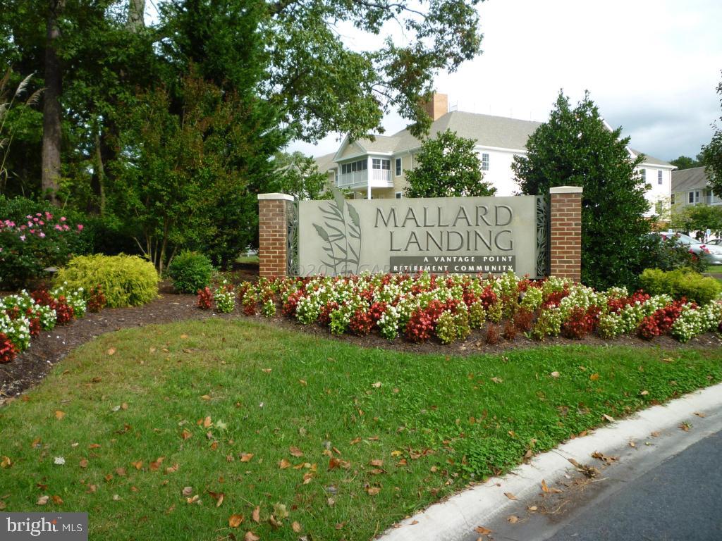 MALLARD LANDING - Residential