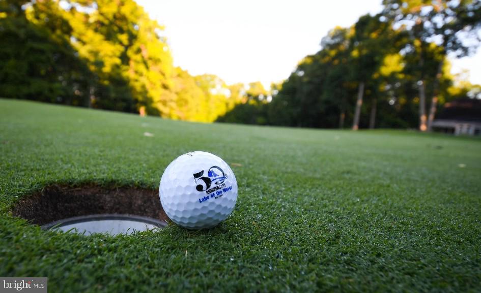 LAKE OF THE WOODS - Residential