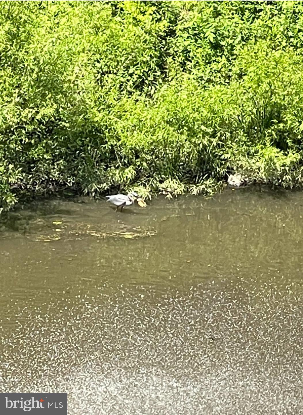 HUNTINGDON PLACE - Residential