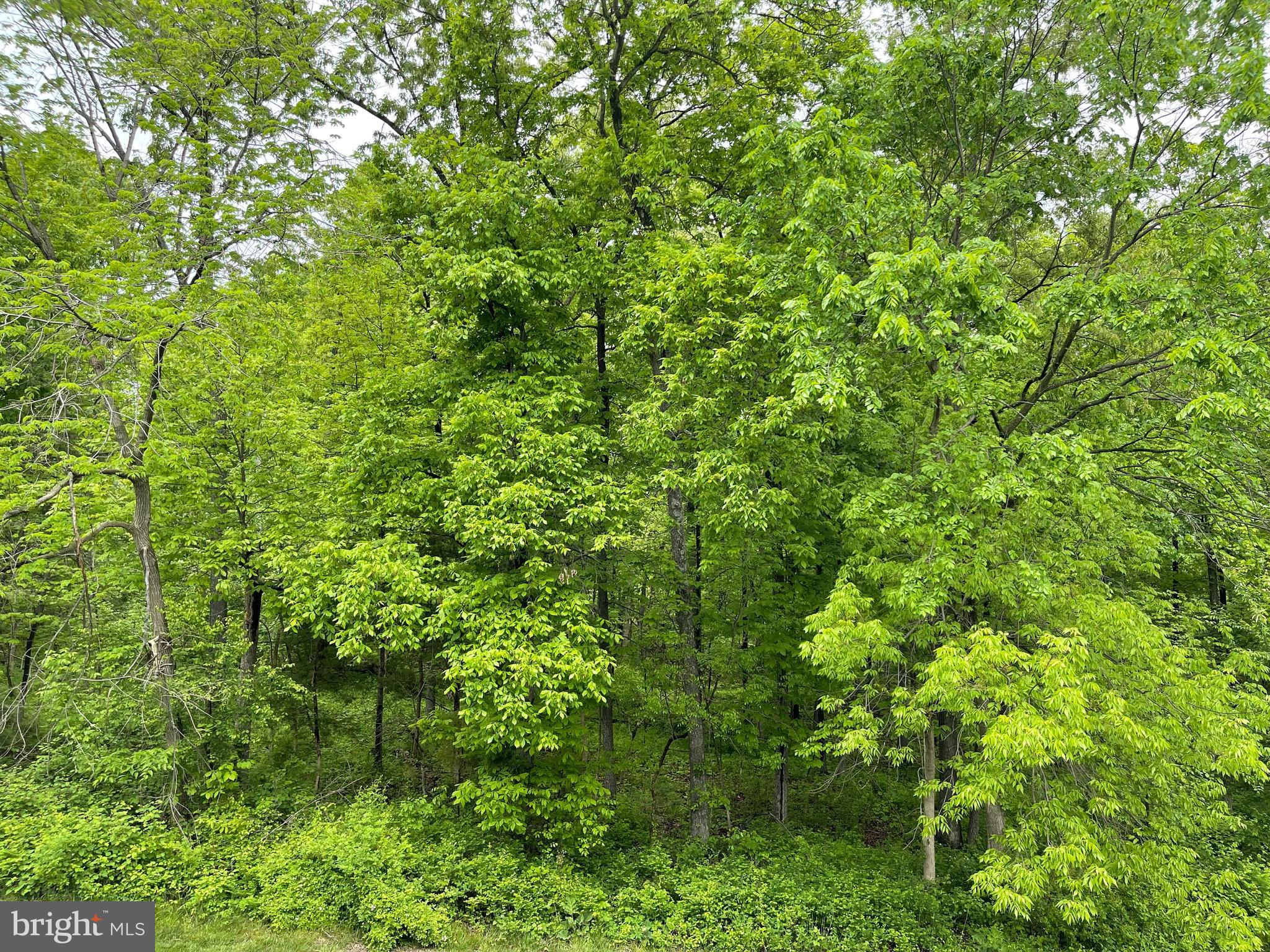 BELMONT LAND BAY - Residential