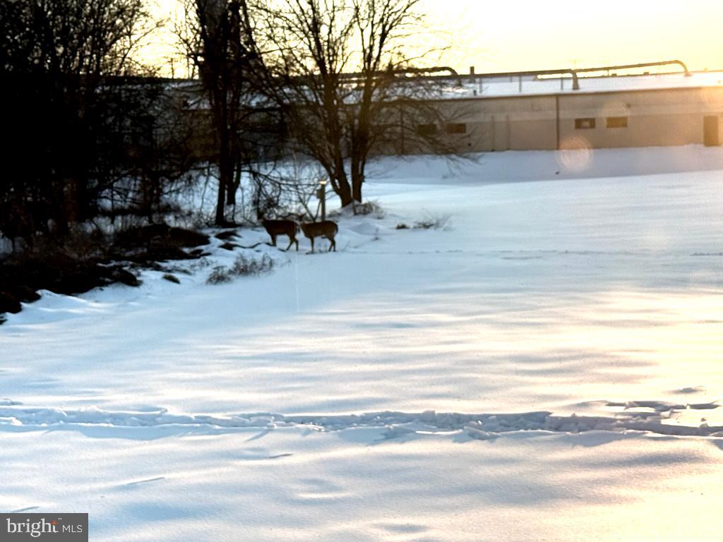 MIMOSA MHP - Residential