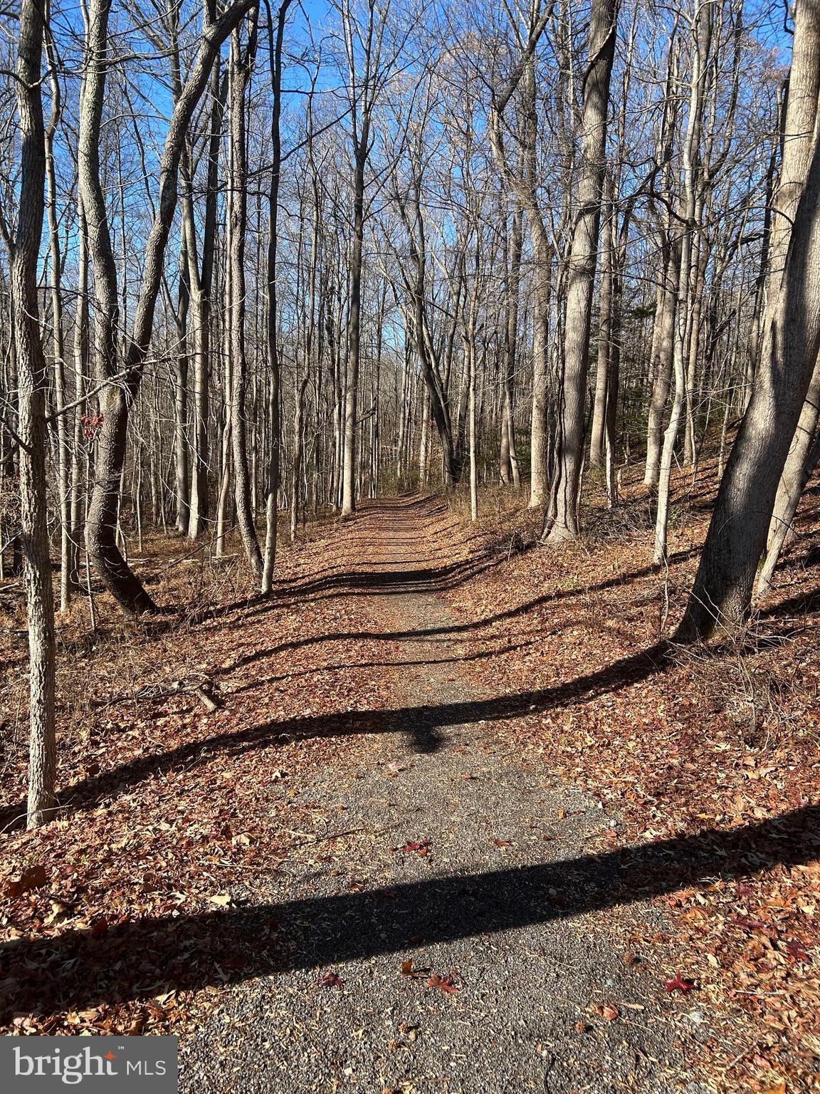 THE VILLAGES OF STEEPLECHASE - Residential