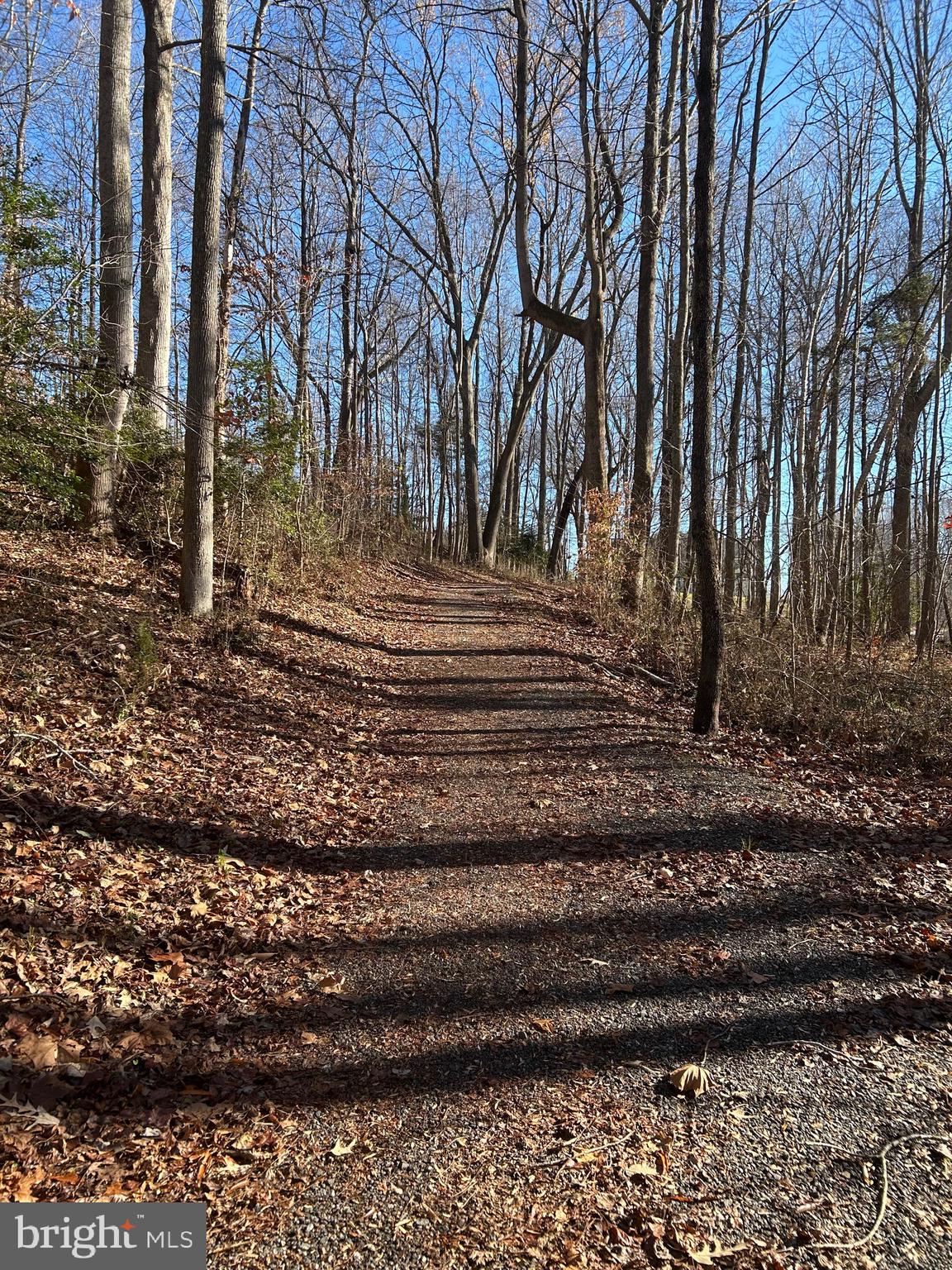 THE VILLAGES OF STEEPLECHASE - Residential