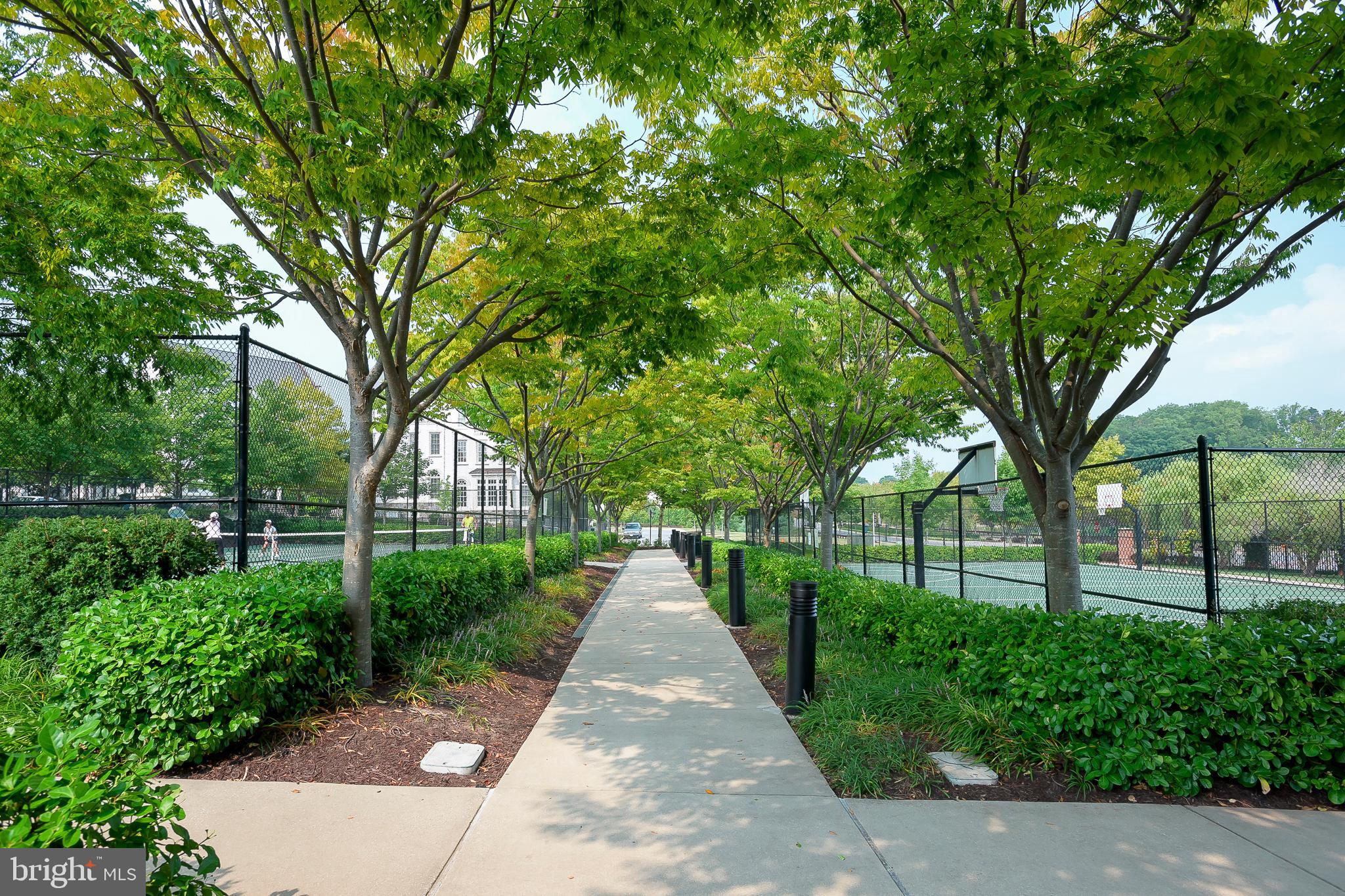 MAPLE LAWN - Residential