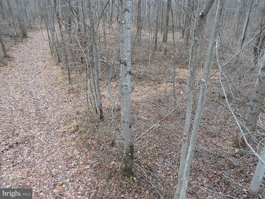 Secluded among the trees off county rd, level land lot, clear some trees opening hillside view of Potomac River, ready for a cabin or full time home, Close to public access for fishing, boating, and swimming on the Potomac River, hiking, and bike riding on the C and O Rails  & Trails. minutes to historic Berkeley Springs, WV and a close 90 min to Washington, DC.