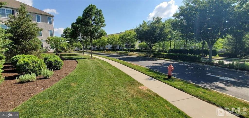 725 TIMBERLAKE DRIVE