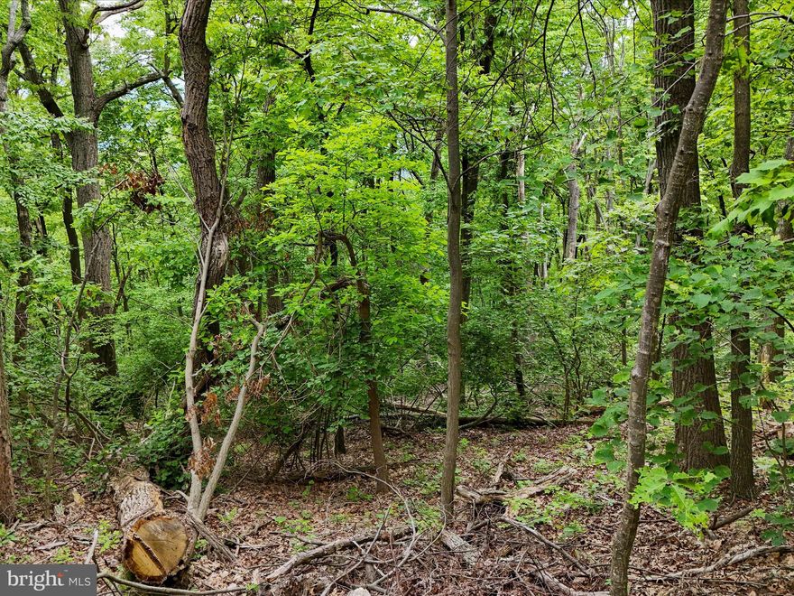 Sprawling within Spring Gap Mountain, this beautifully wooded sloped 8.29 site has unique access from both Tower Rd and Lawyer Lane. Views from either the top of the land or bottom of the land are striking. Mature deciduous trees, coniferous trees, and wildlife abound on the acreage.  Both Lawyer Lane and Tower Road are no through streets; this site is quiet and private.  A gated community in Spring Gap Mountain HOA, the HOA grades and maintains the roads. With so much to do and see (or not if you crave privacy) and adjoining Berkeley Springs are much sought-after opportunities. Enjoy historic Berkeley Springs, antiquing, The Potomac Eagle Scenic Railroad, hiking or camping in the heart of Appalachia, or building and living in preserved nature.  The acclaimed Potomac and Great Cacapon Rivers are a destination themselves: very nearby and are an outdoorsman's paradise. You'll see Historic Civil War overlooks along the Historic Civil War Trail. There is so much to love about this pristine area of West Virginia.  If you plan to build, the minimum home's living space is 480 square feet built on a permanent foundation: build a tiny home, log cabin, palatial home or somewhere in between. Campers may remain on land for a maximum of 4 months before needing to be removed and returned for enjoyment the next year.  See the online documents for the complete HOA covenants and bylaws. The current owner has enjoyed camping on the site and escaping to the country in lush verdant West Virginia. Trying to diversify and invest in a hard asset, and outpace inflation? Here you go!  Real time photos coming soon.
Please email or call Listing Agent Mary Ratchford with any questions. Community is gated.