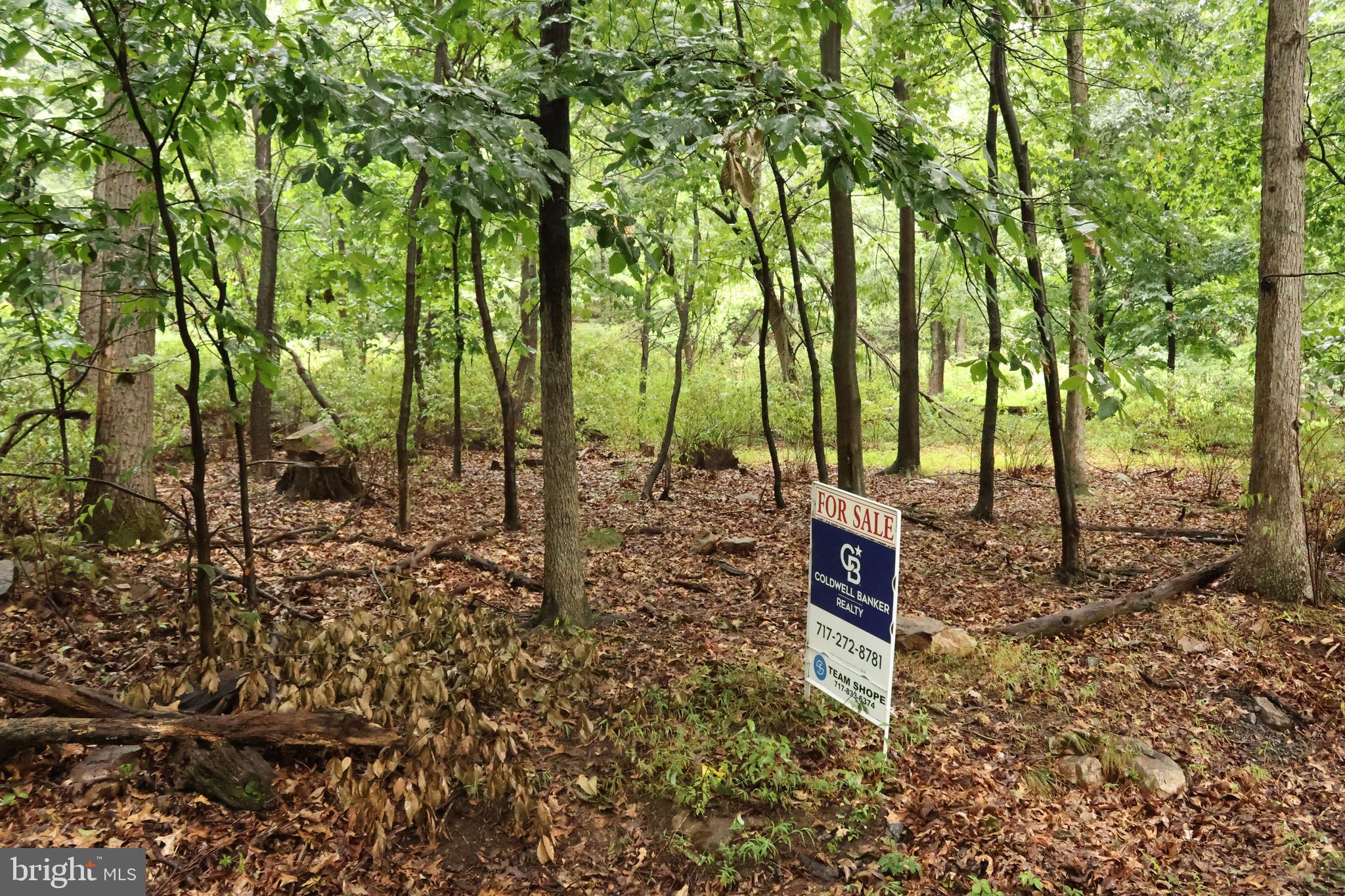 TRAIL LANE