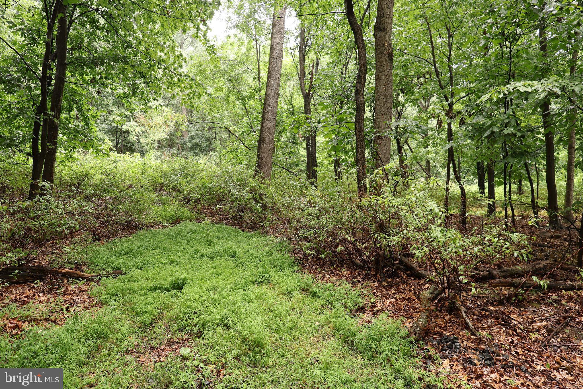 TRAIL LANE
