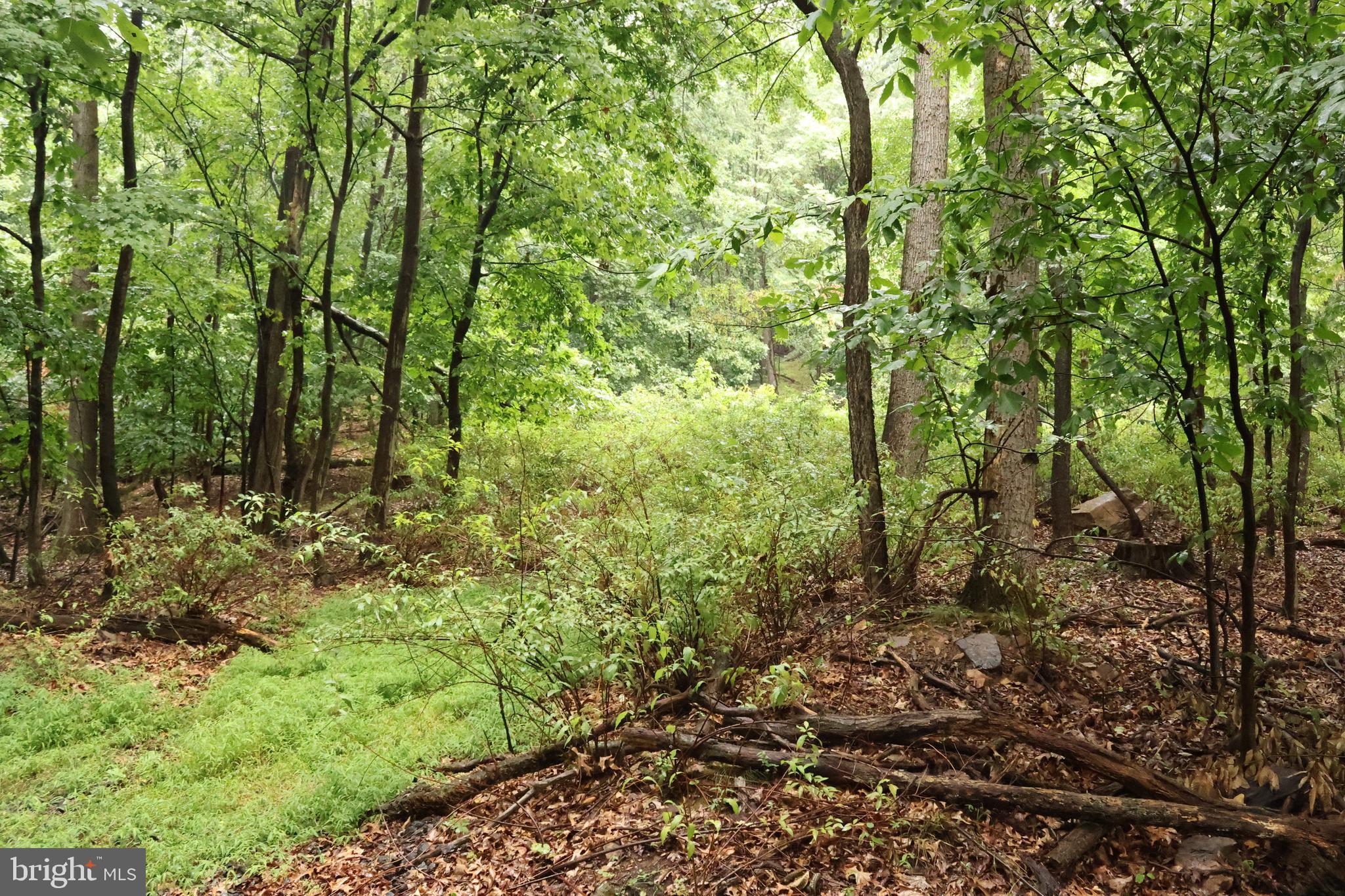 TRAIL LANE