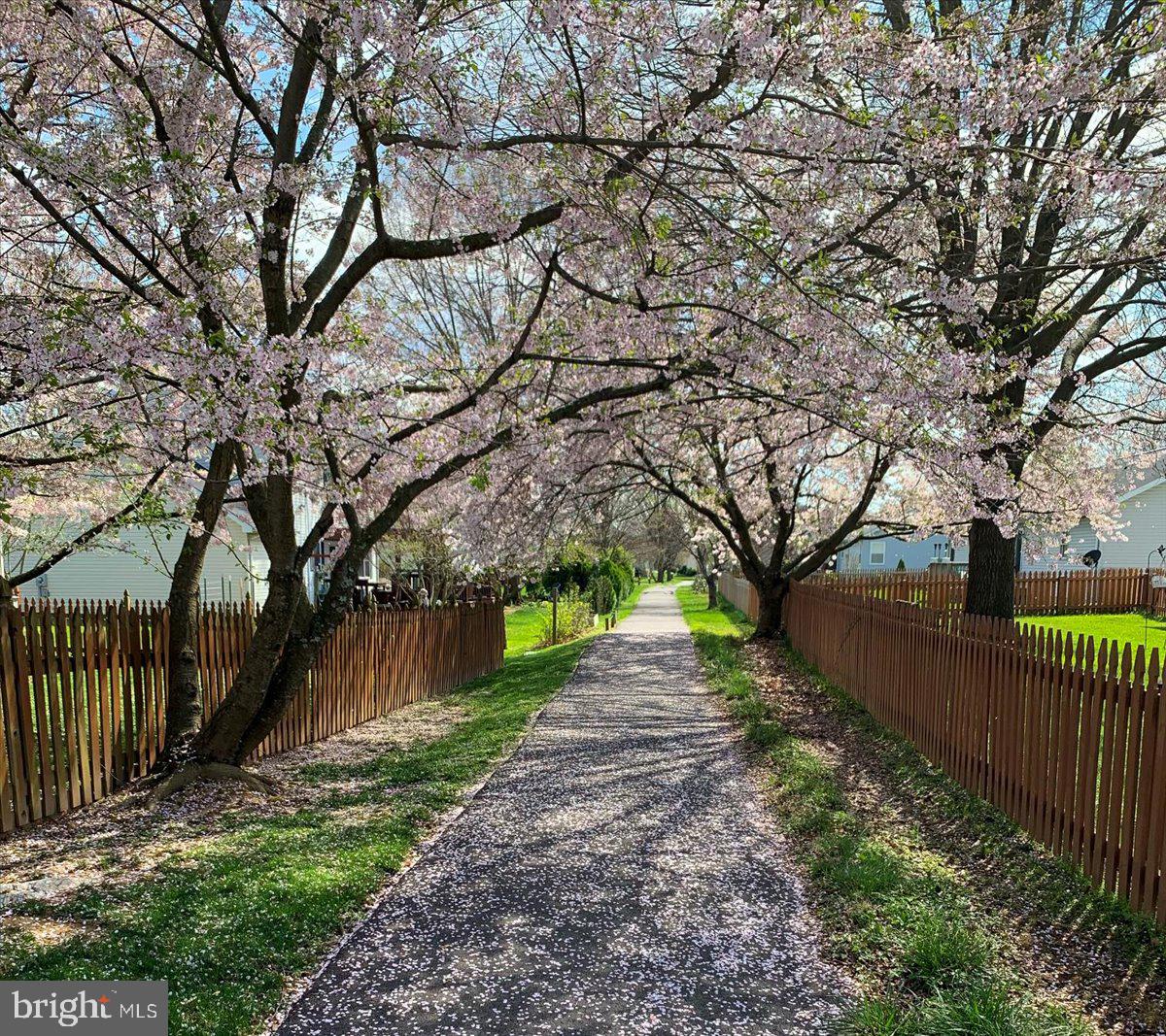 SPRING MILLS - Residential