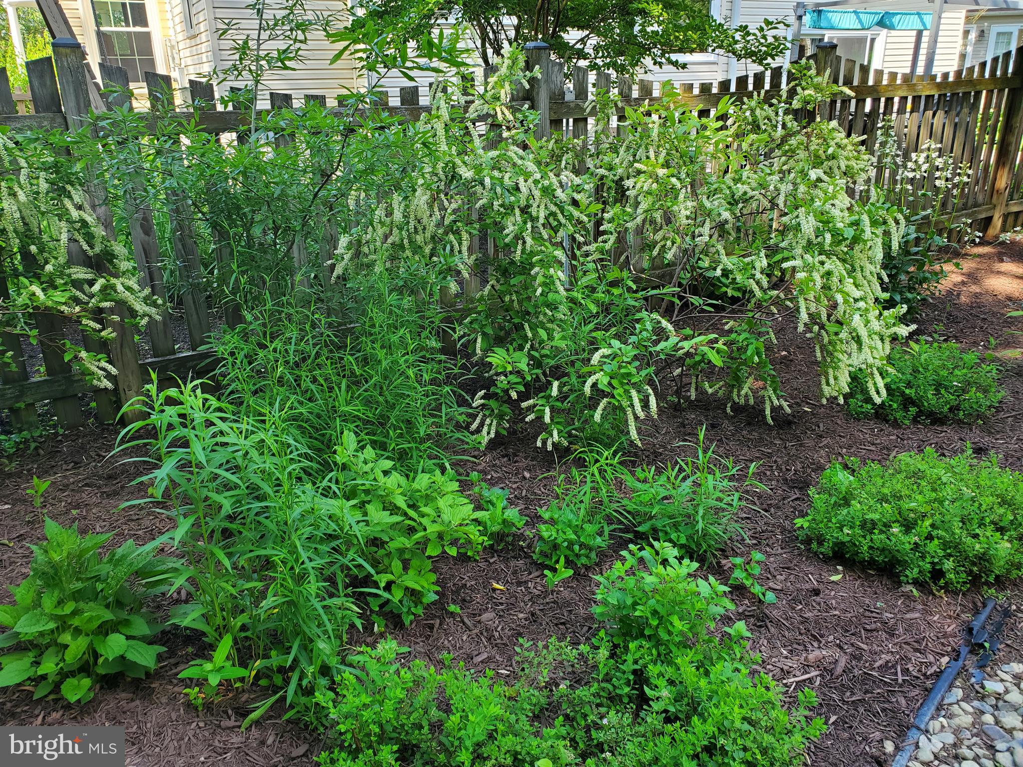 COUNTRYSIDE - Residential