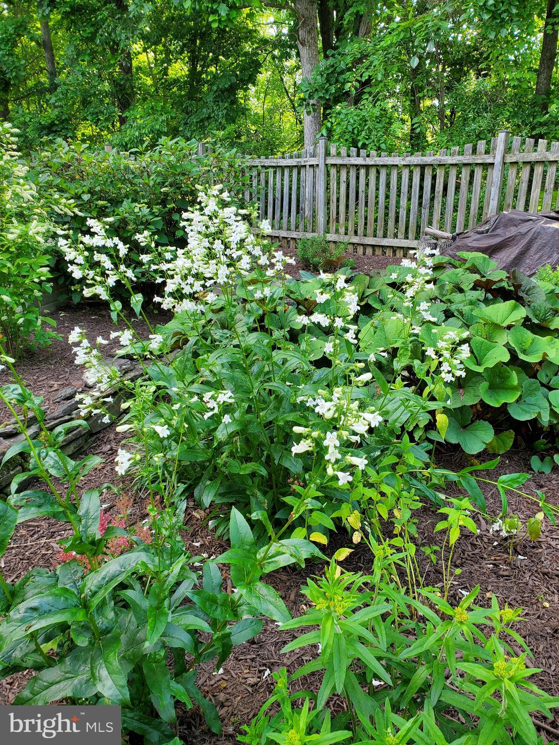 COUNTRYSIDE - Residential