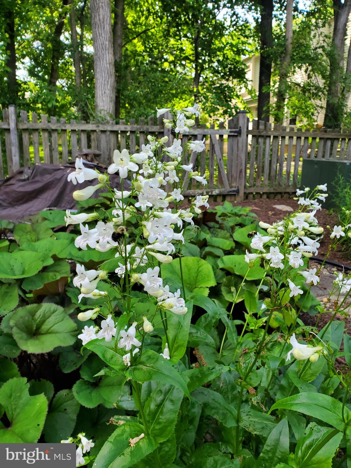 COUNTRYSIDE - Residential