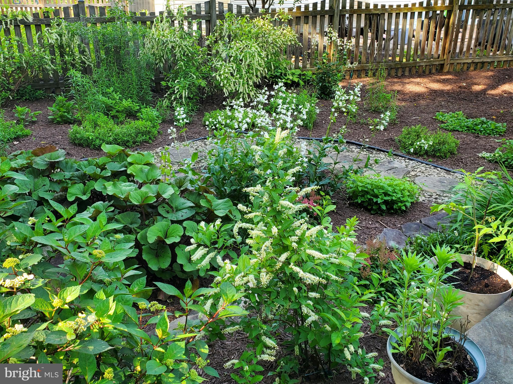 COUNTRYSIDE - Residential