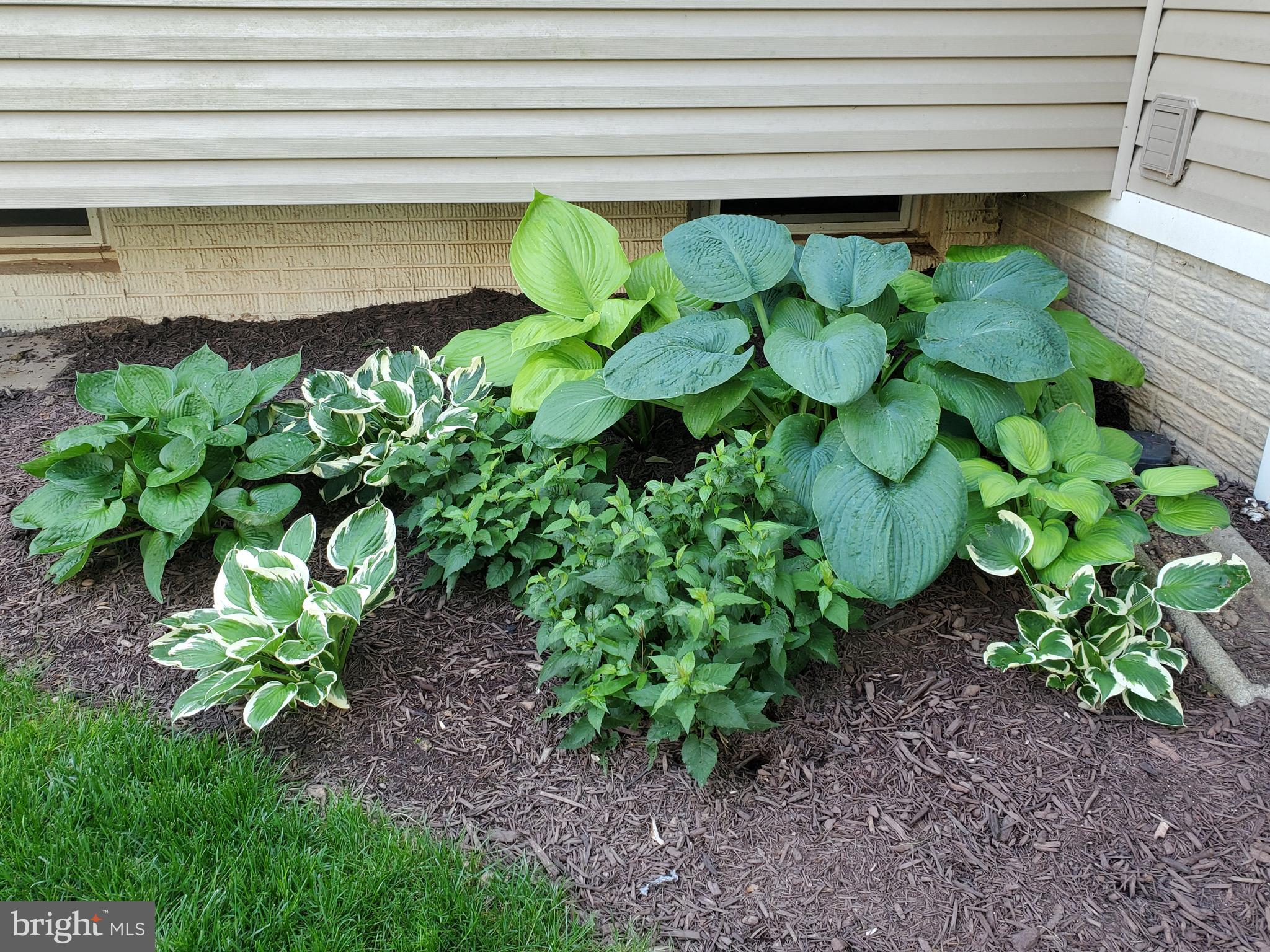 COUNTRYSIDE - Residential