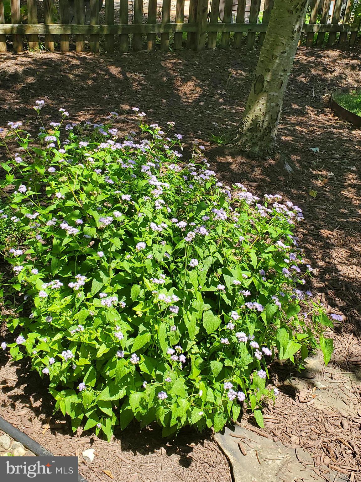 COUNTRYSIDE - Residential