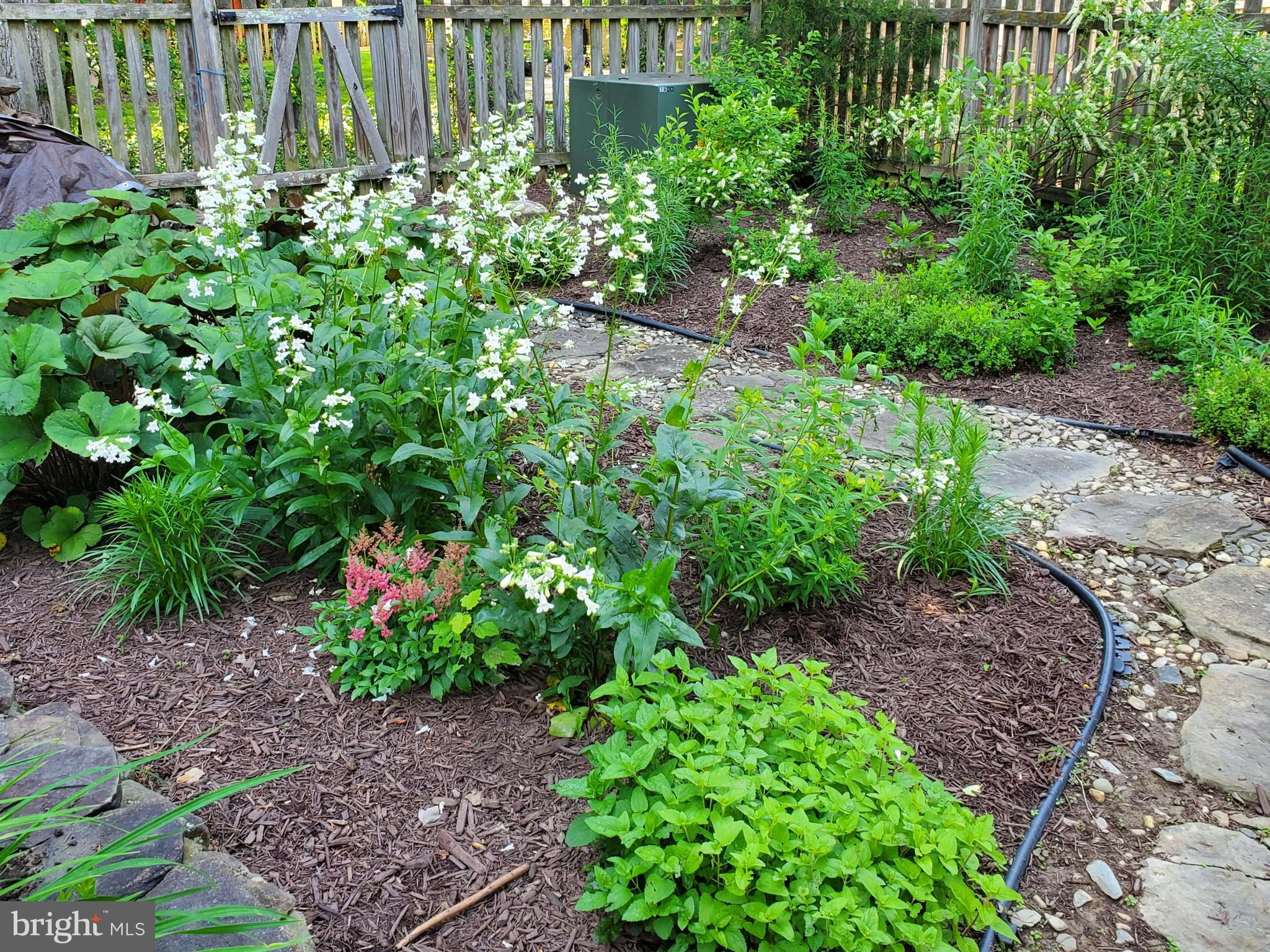 COUNTRYSIDE - Residential