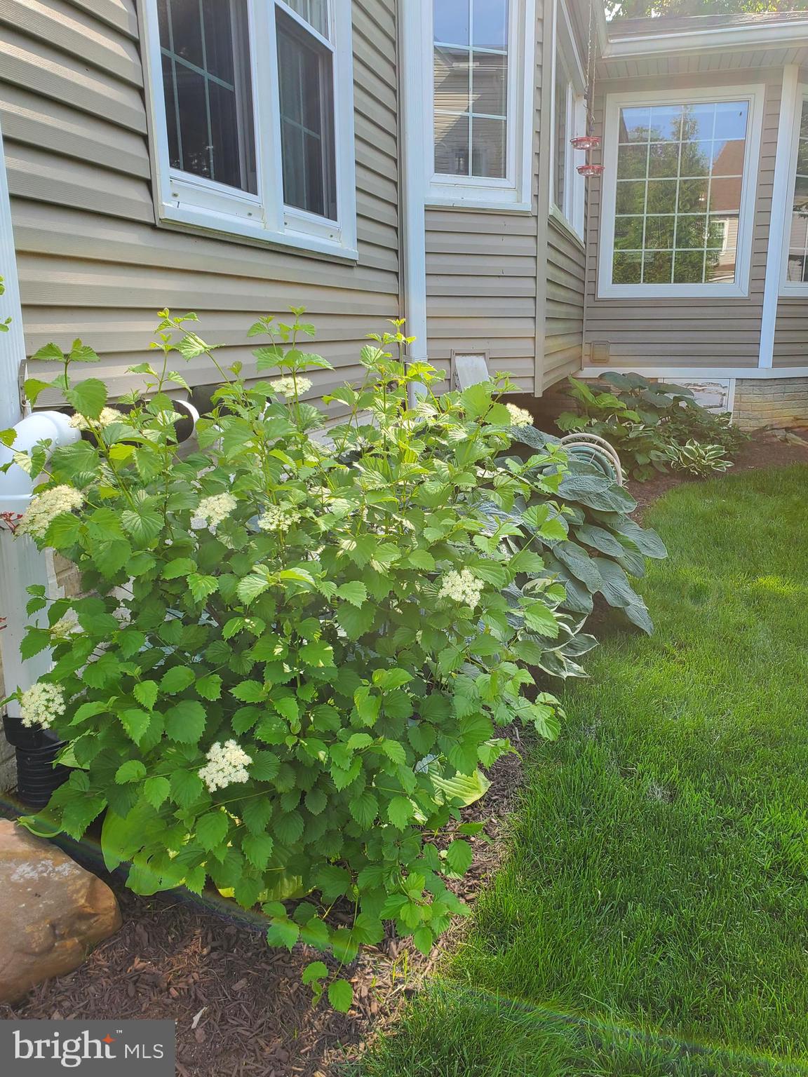 COUNTRYSIDE - Residential