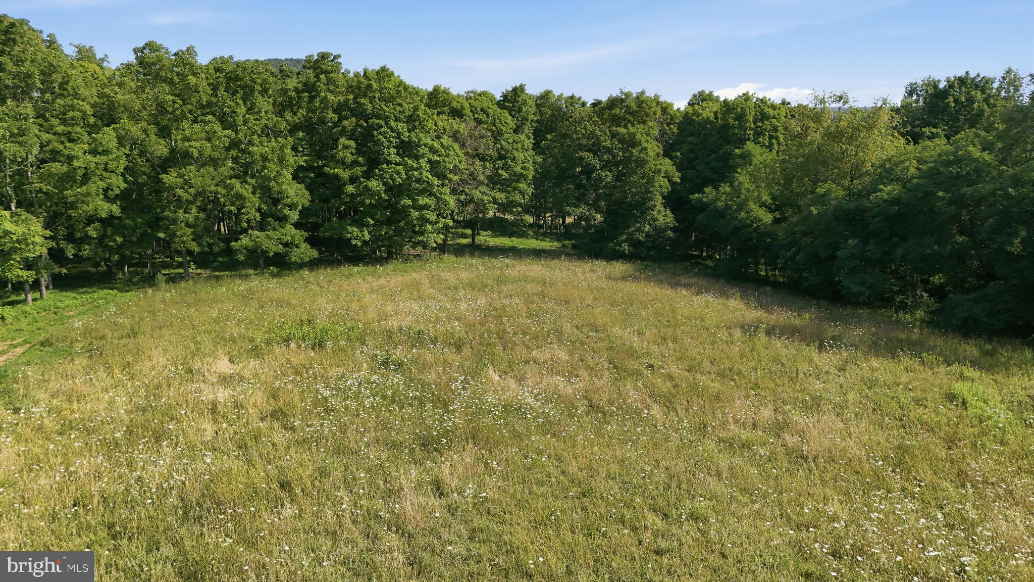 OLD PLANK ROAD