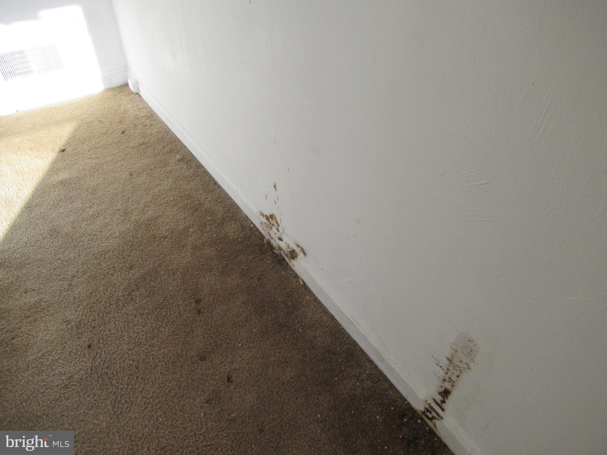 ST JAMES PLACE CONDO - Residential