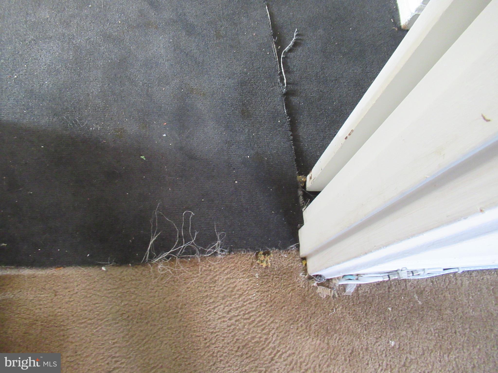 ST JAMES PLACE CONDO - Residential