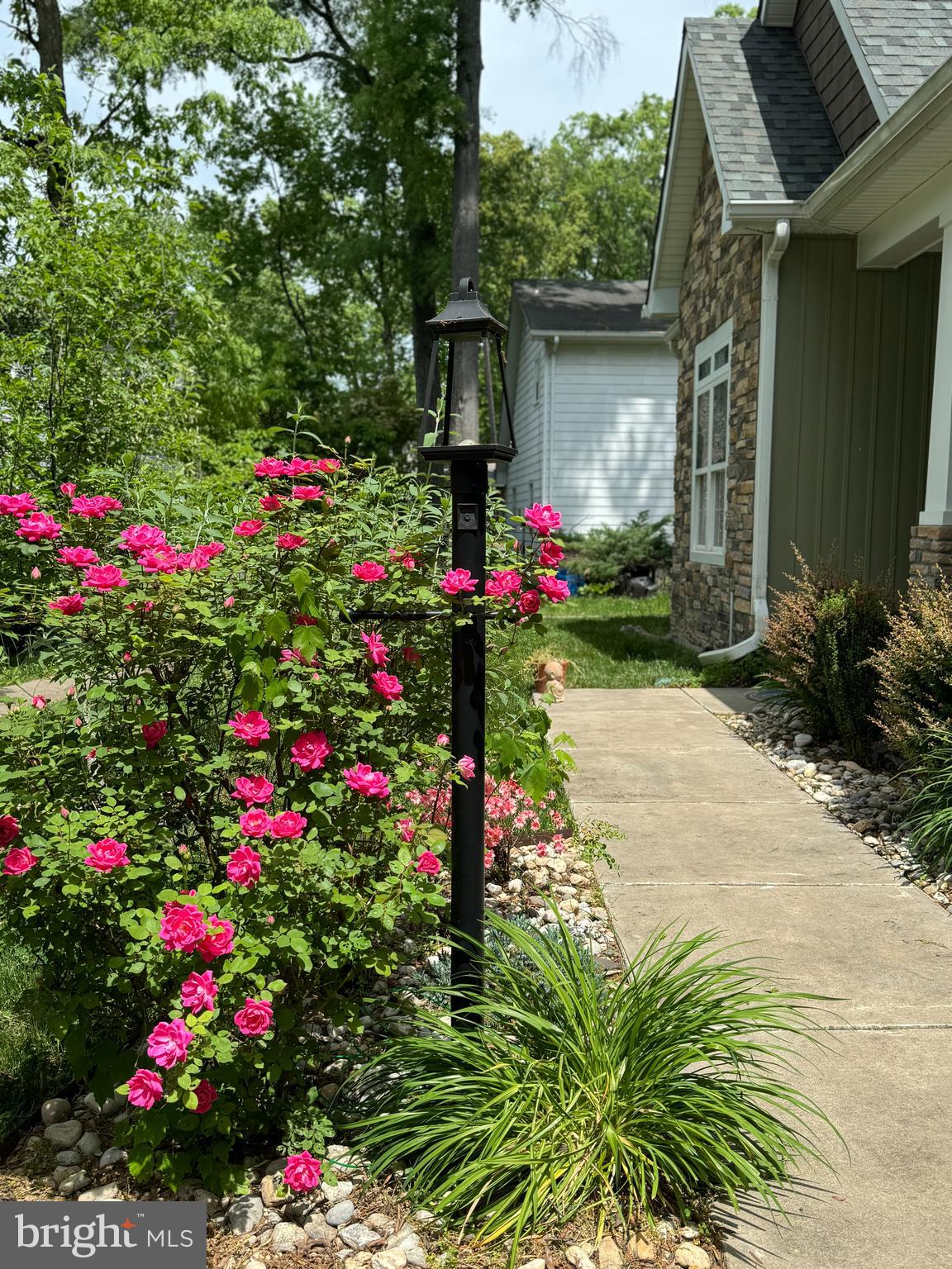 LAKE MONTCLAIR - Residential