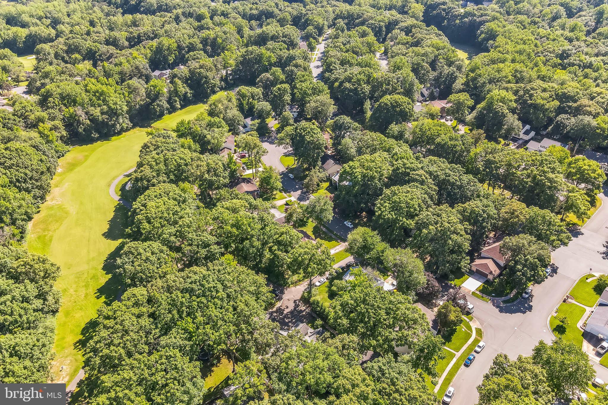 LAKE MONTCLAIR - Residential