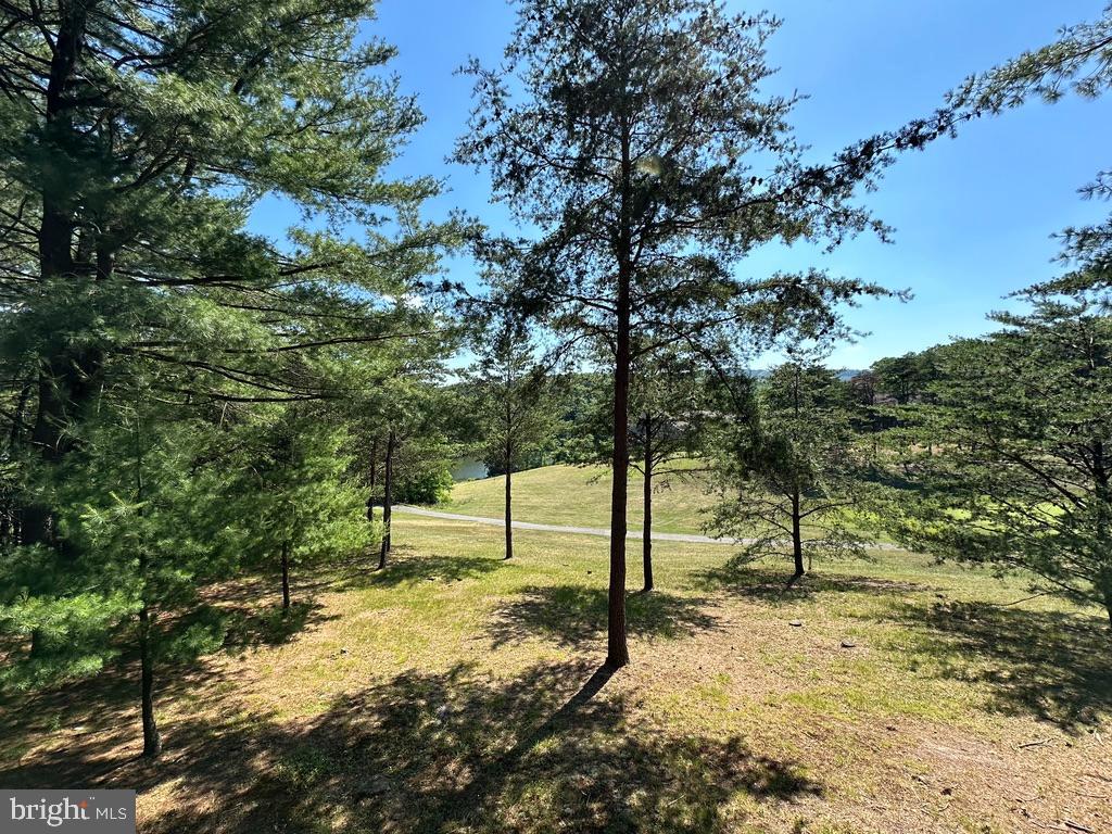 THE WOODS - Residential