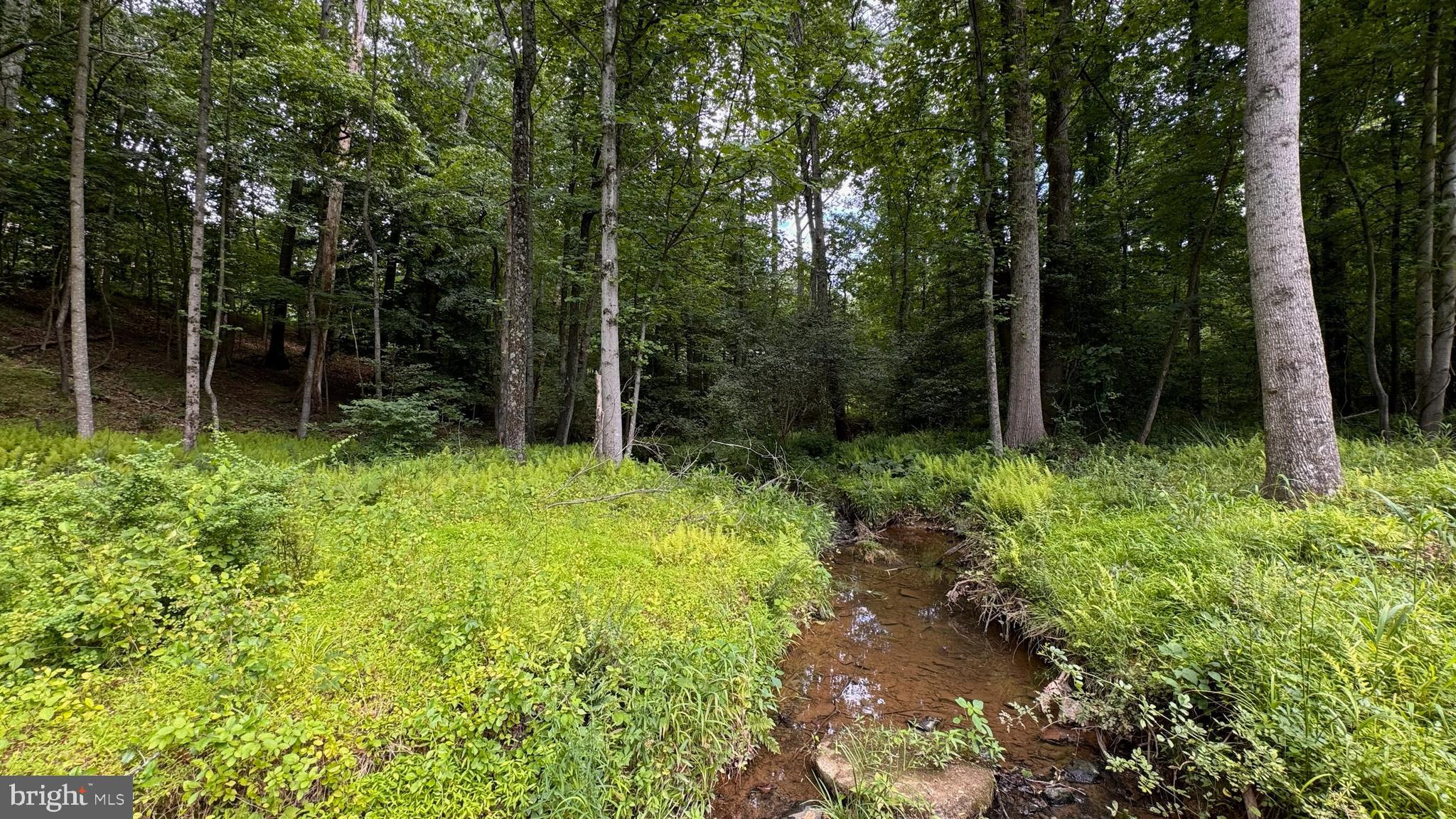 WOODLAND FALLS - Residential