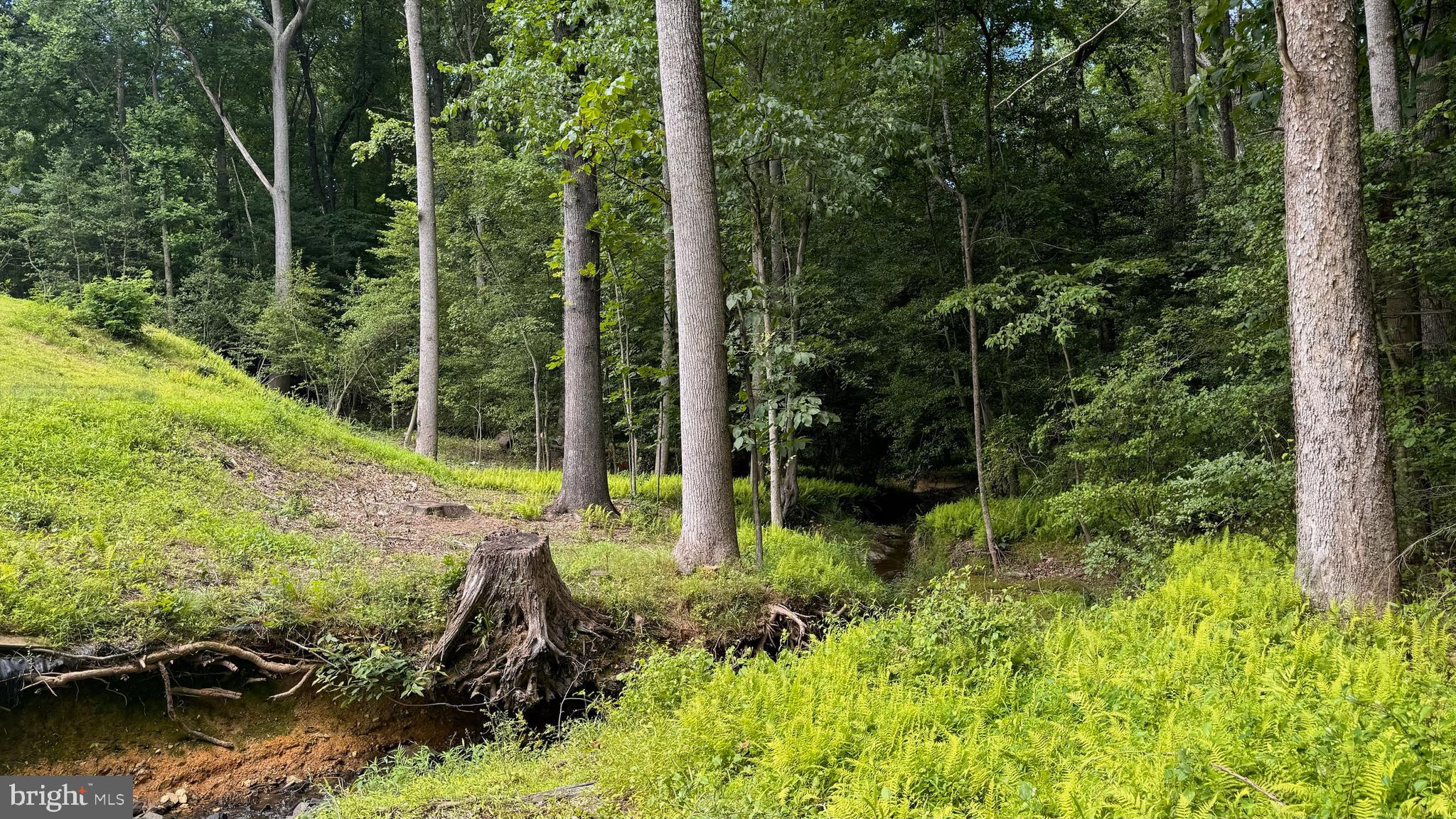 WOODLAND FALLS - Residential