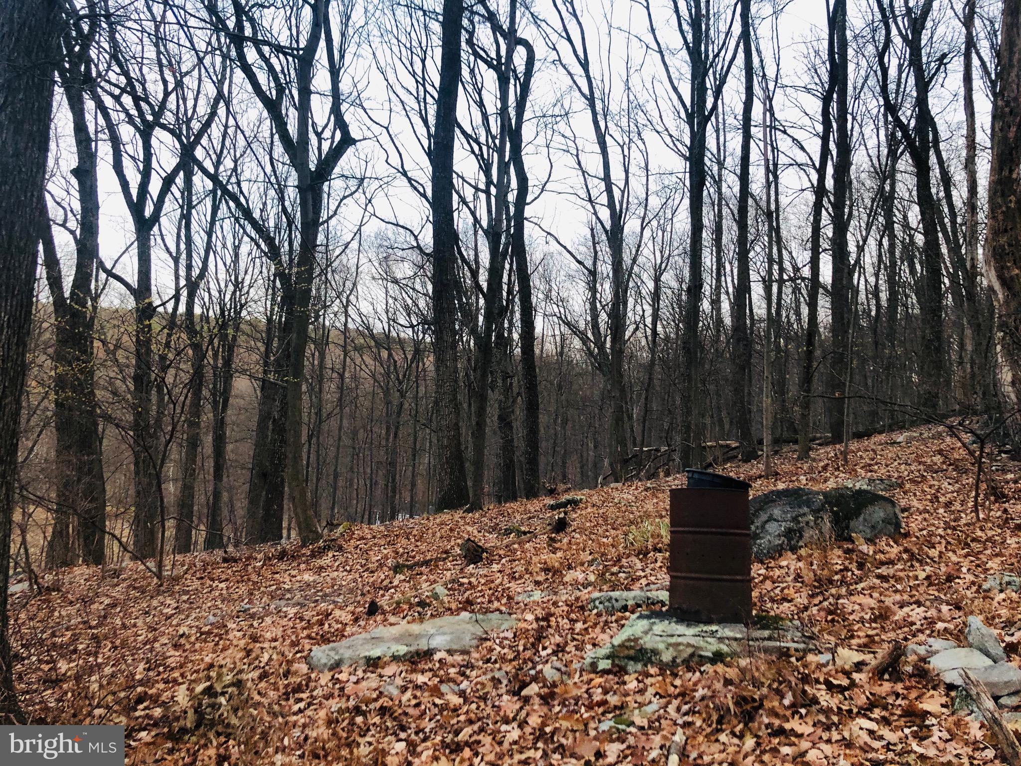 SLEEPY HOLLOW - Residential