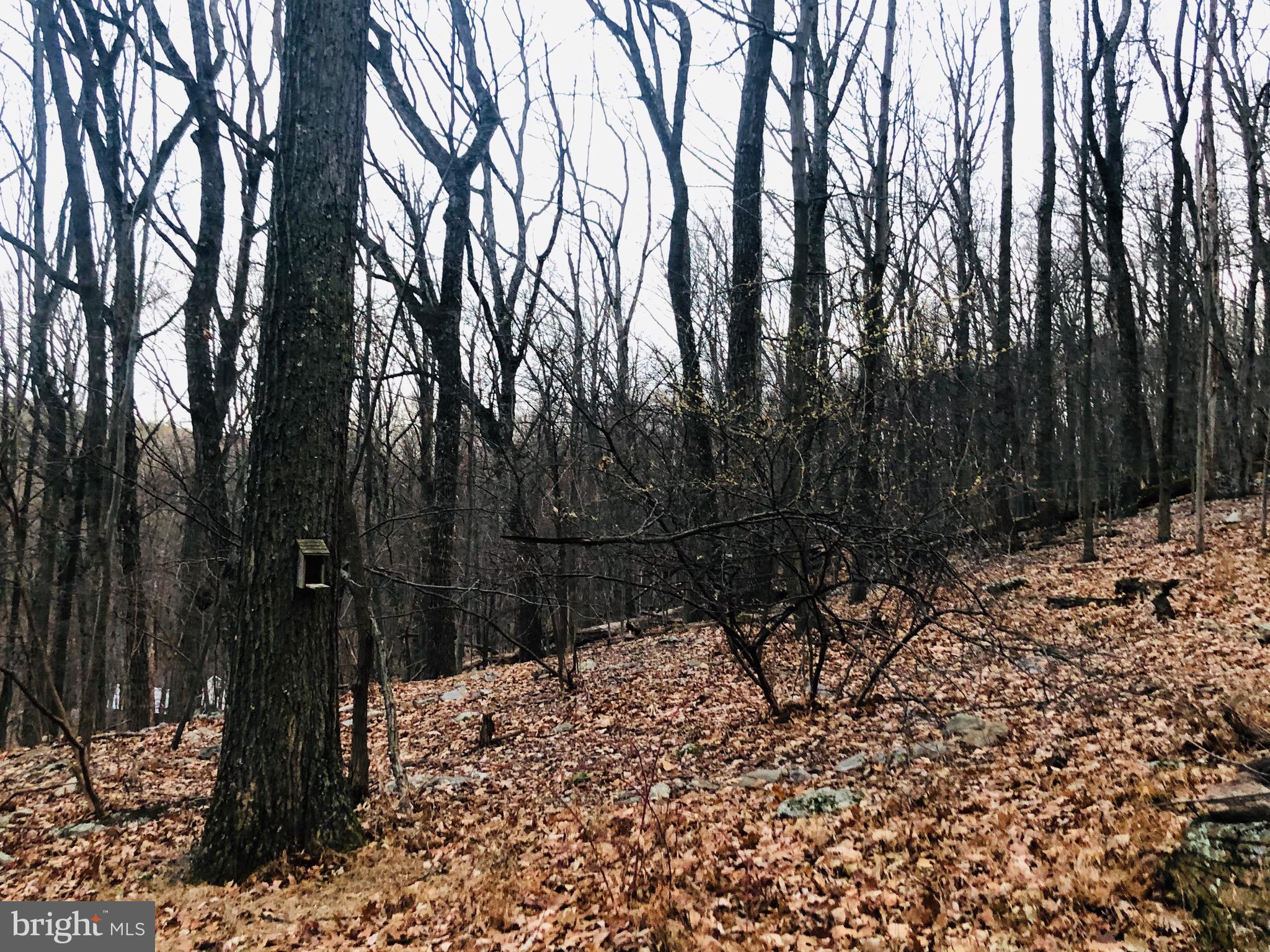 SLEEPY HOLLOW - Residential