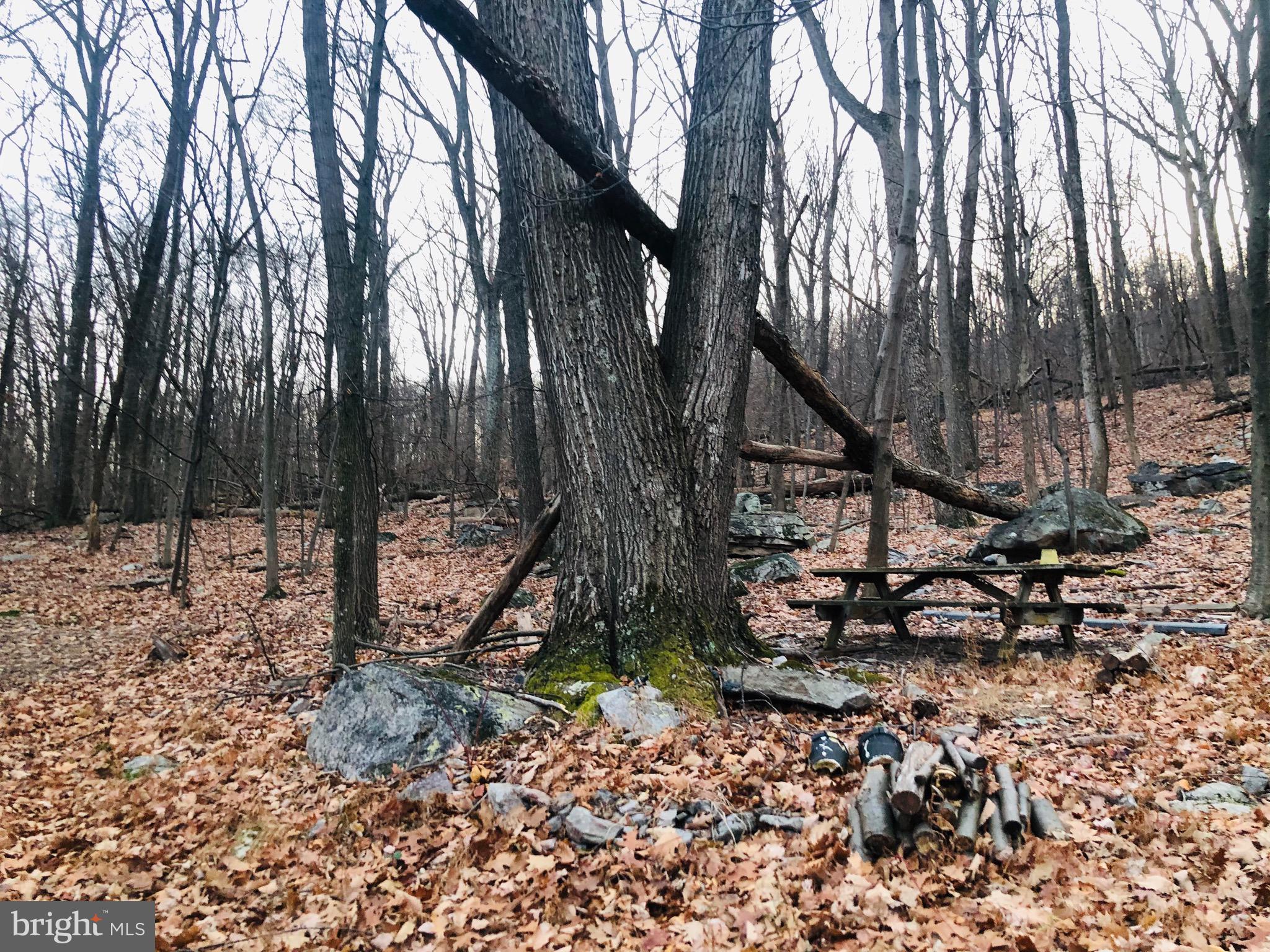 SLEEPY HOLLOW - Residential