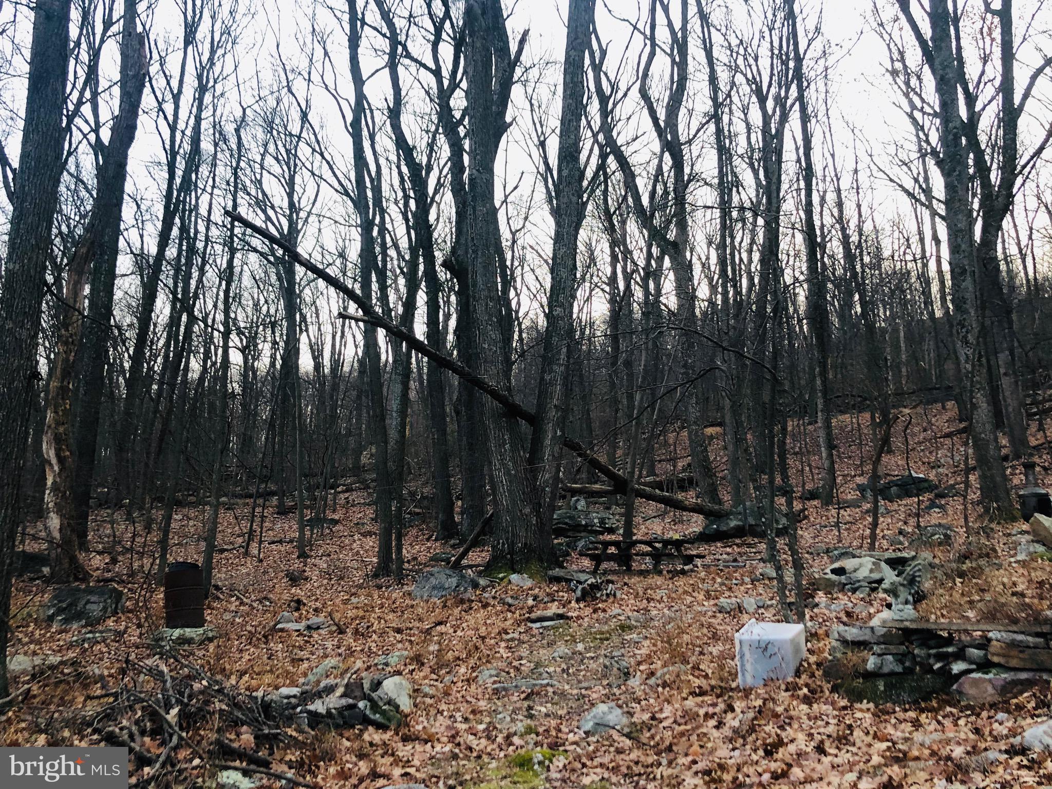 SLEEPY HOLLOW - Residential