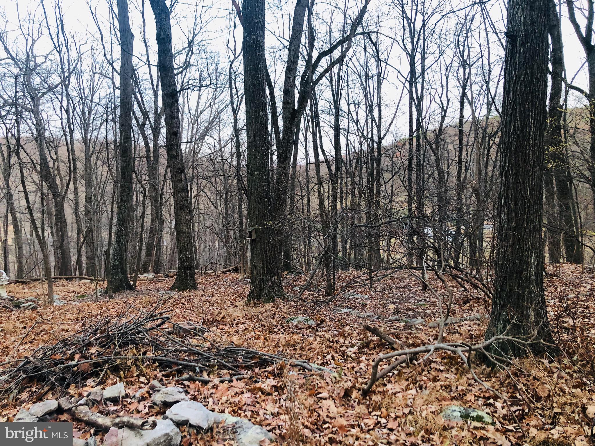 SLEEPY HOLLOW - Residential