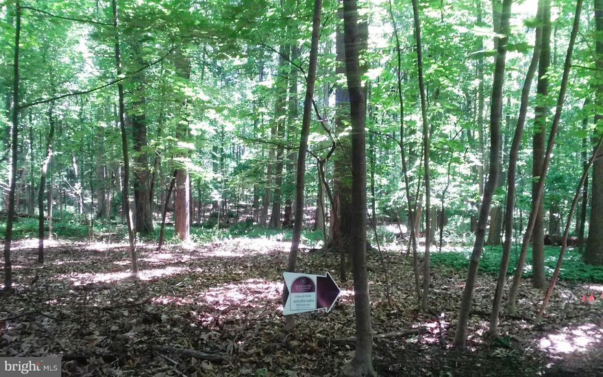 Wooded building lot consisting of 2 parcels totaling 1.7 acres set back off of West Padonia Road near Falls Road.  In fee access but neighbor has an easement to use it for ingress and egress.  Survey has been ordered; perc test has been ordered; Seller will give Buyer $5000. credit towards drilling a well.  Level building site with good privacy.