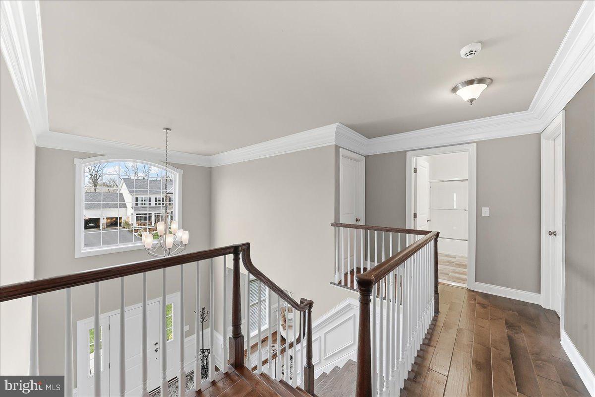 DOYLESTOWN GREENE - Residential