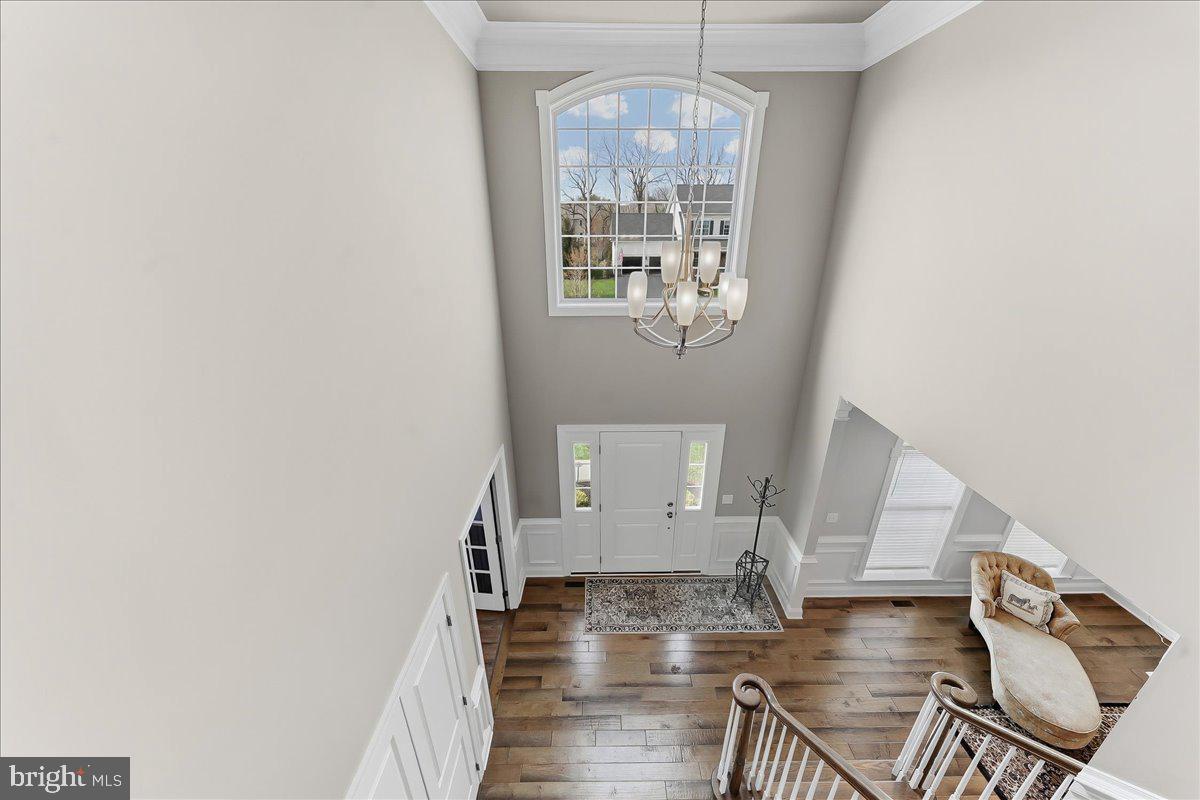 DOYLESTOWN GREENE - Residential