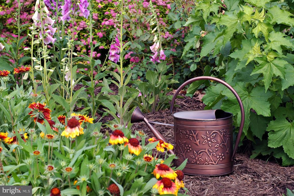 Photo of 0 Tammany Rd, UPPER BLACK EDDY, PA 18972 (MLS # PABU2102944)