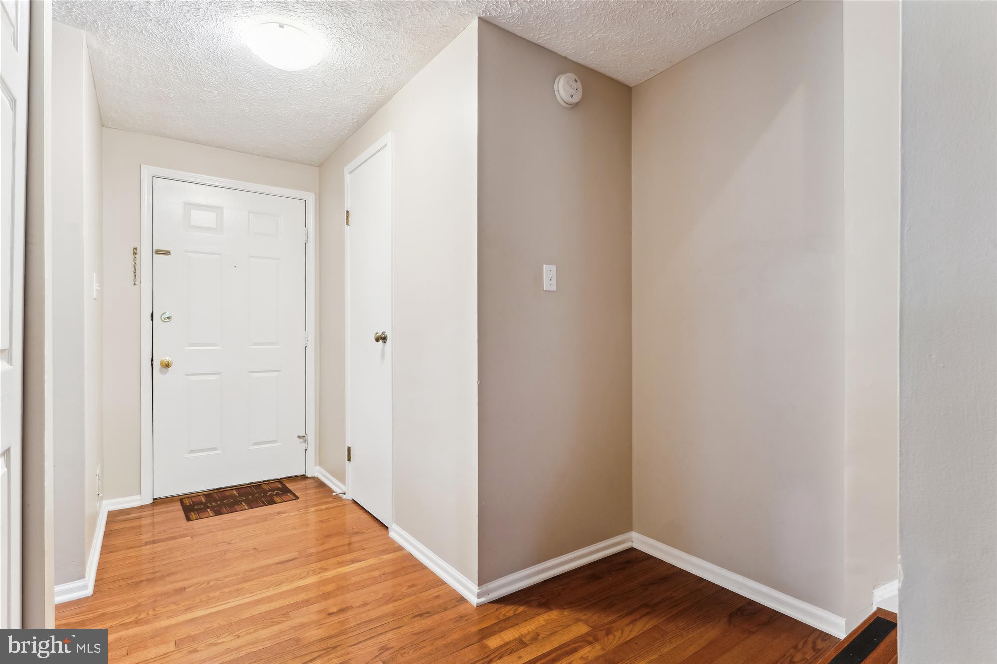 9175 FOREST LAWN COURT