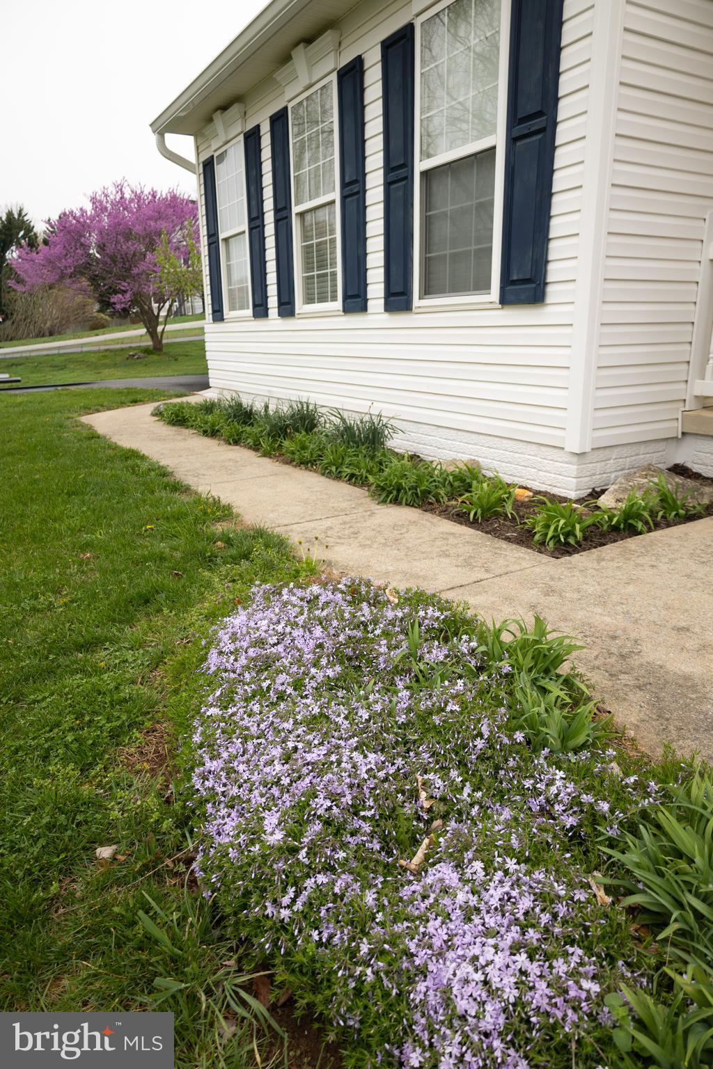 GAP VIEW VILLAGE - Residential