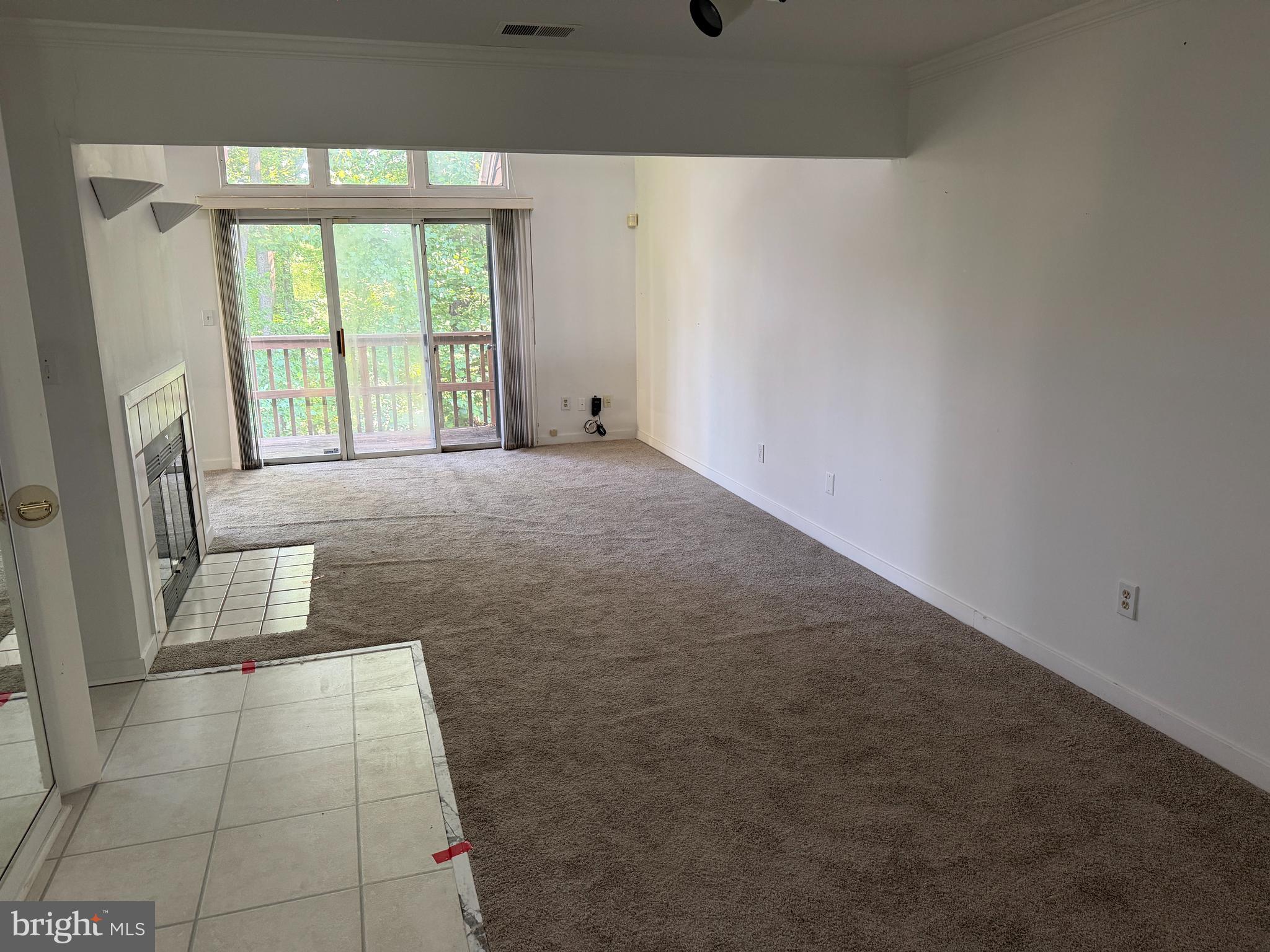 9497 HICKORY LIMB 301