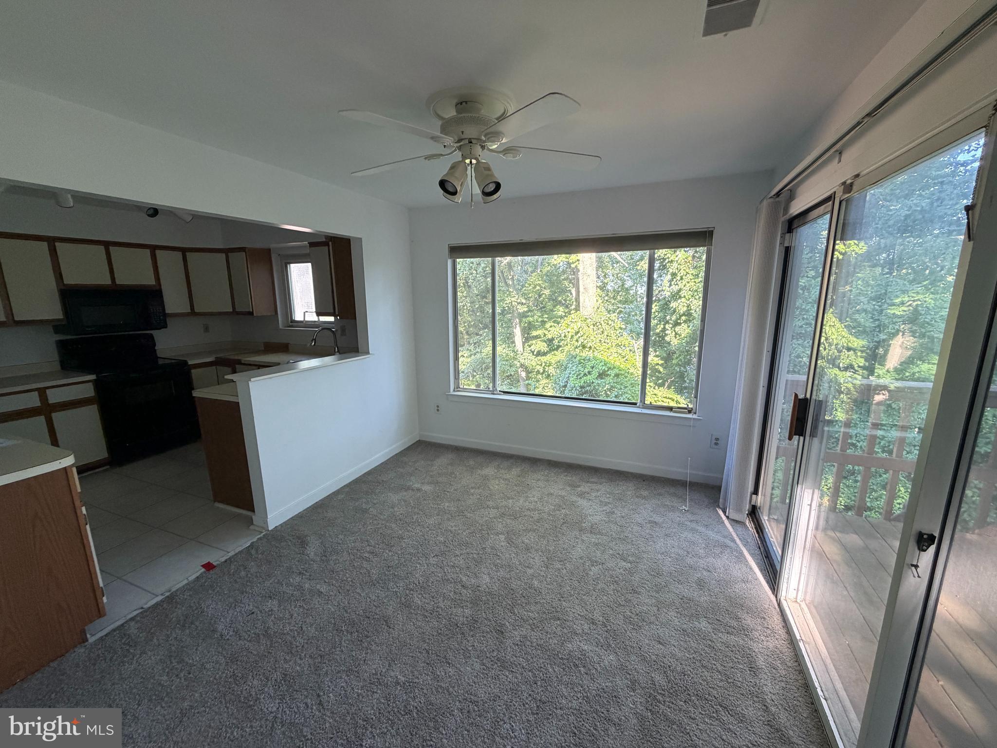 9497 HICKORY LIMB 301